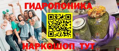 эйфоретик Кимры