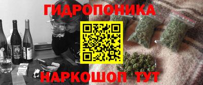 PSILOCYBIN Кингисепп