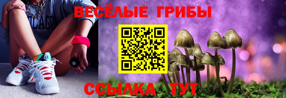 Псилоцибиновые грибы ЛСД Вичуга
