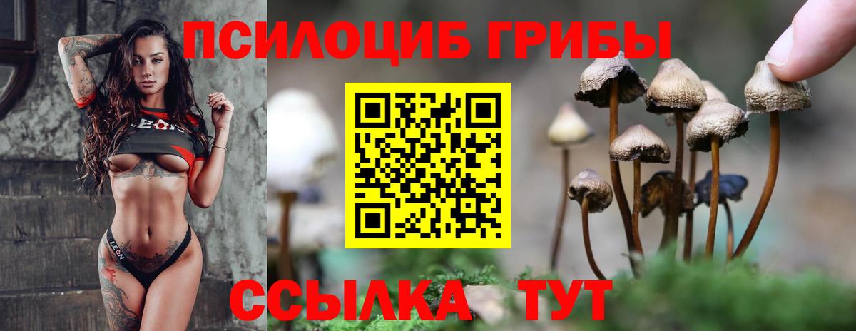 Галлюциногенные грибы мухоморы  Вход с VPN  Вичуга 
